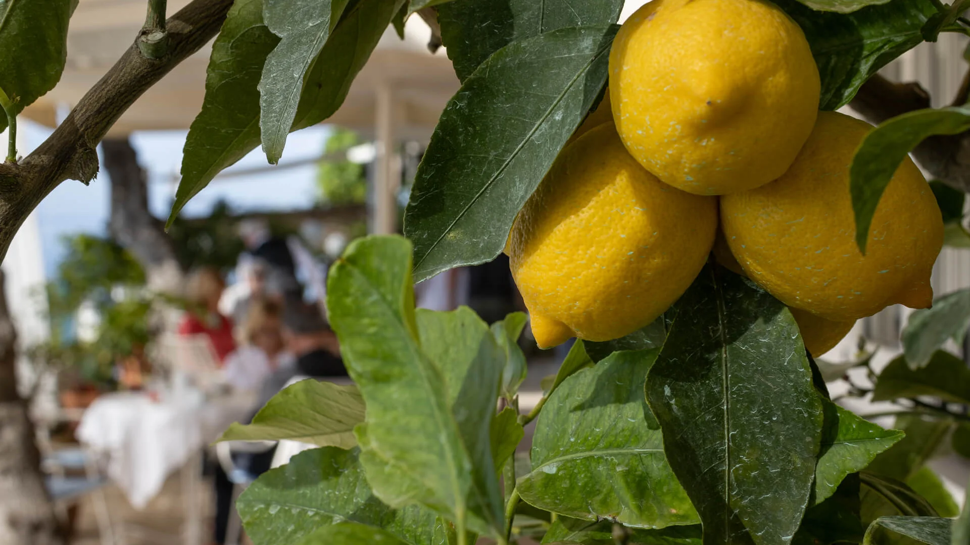 What to do on the Amalfi Coast | Experiences by Aurora What to do on the Amalfi Coast | Experiences by Aurora